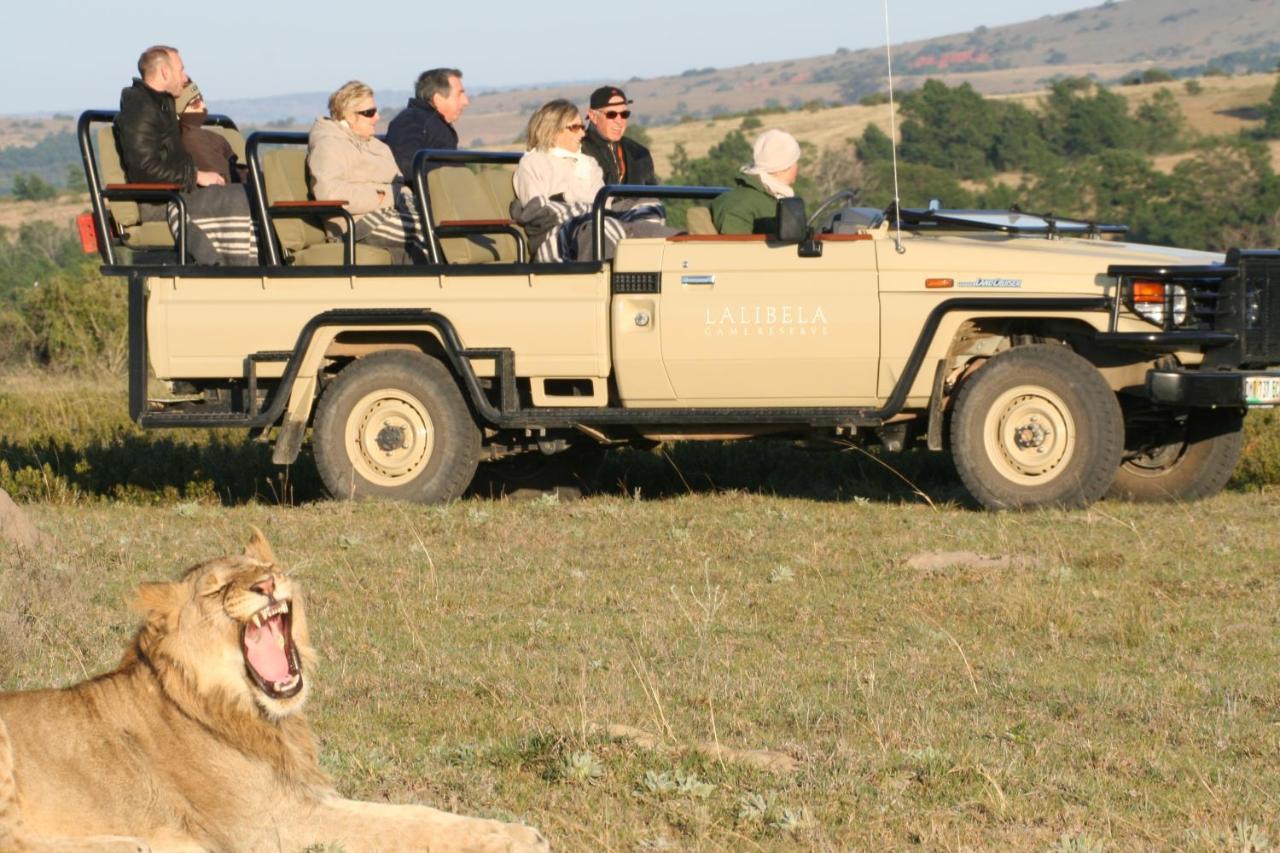 Lalibela Game Reserve Mark'S Camp Grahamstown Exterior foto
